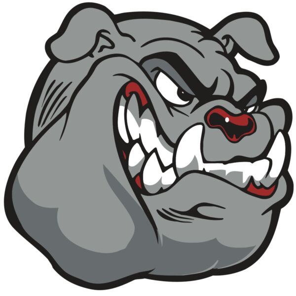 AR BDOG 13 RC Thumbnail